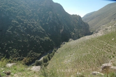 Veelzijdig Cilento (5)