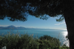 Authentiek Scario (2)
