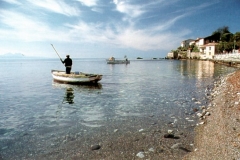 Scario 3