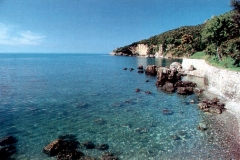 Scario strand