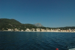 zomer 2010 a 089 (Medium)