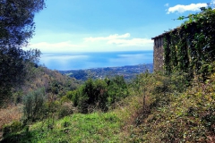 Cilentodroomhuizen-Ter.Cuoco-10