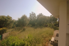 Uitzicht-op-de-tuin