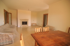 Zeer-royale-living-met-open-haard