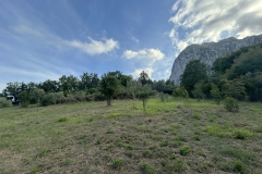 image00030