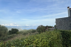image00035