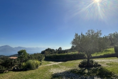 image00224