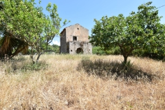 19.Veel-ruimte-om-de-oude-boerenwoning-Medium