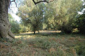 Te restaureren boerderij