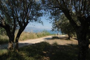 bouwperceel-voor-koopwoning-cilento-zuid-italie