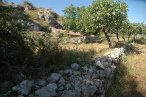 bouwperceel-voor-camping-cilento-zuid-italie