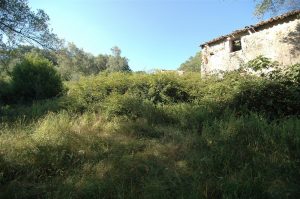 camping-te-koop-in-cilento-in-zuid-italie