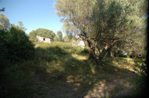 te-restaureren-authetieke-koophuizen-in-cilento