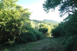 camping-te-koop-in-cilento-in-zuid-italie