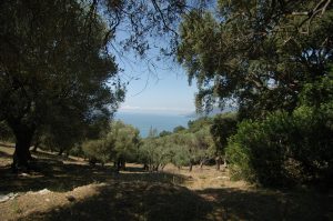 bouwkavel-met-zeezicht-in-zuid-italië