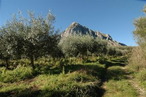 bouwperceel-voor-tweedehuis-cilento-zuid-italie