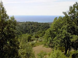 prachtig-bouwperceel-met-zeeicht-in-cilento-in-italie