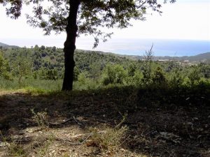 prachtig-bouwperceel-met-zeeicht-in-cilento-in-italie