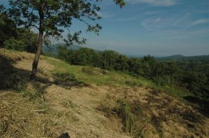 bouwperceel-voor-tweedehuis-cilento-zuid-italie