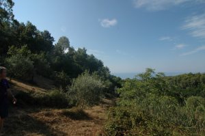 Uitzicht op de Golfo di Policastro.