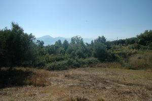Liefelijk landschap